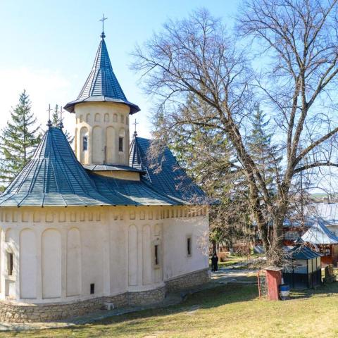 Mănăstirea Coșula