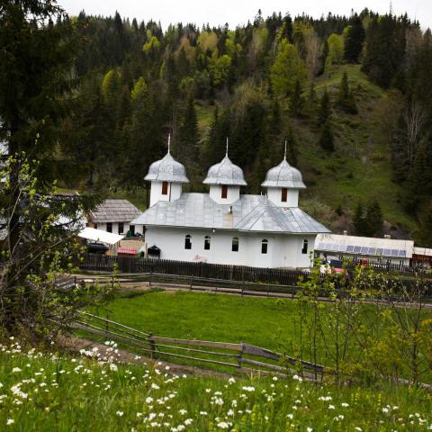 Mănăstirea Tărcuţa